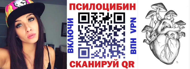 где купить наркоту  Невьянск  МЕГА как войти  Псилоцибиновые грибы прущие грибы 